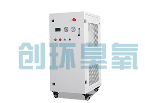 藁城石斑鱼养殖水质调控完整指南:臭氧发生器配置与操作步骤