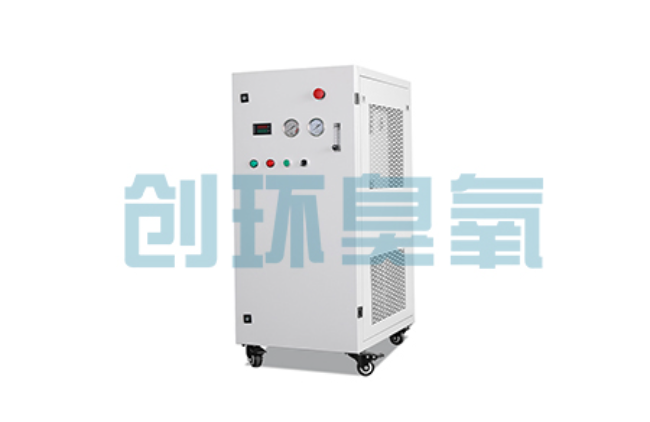 藁城比传统换水更高效?臭氧发生器在石斑鱼养殖中的水质净化原理解析